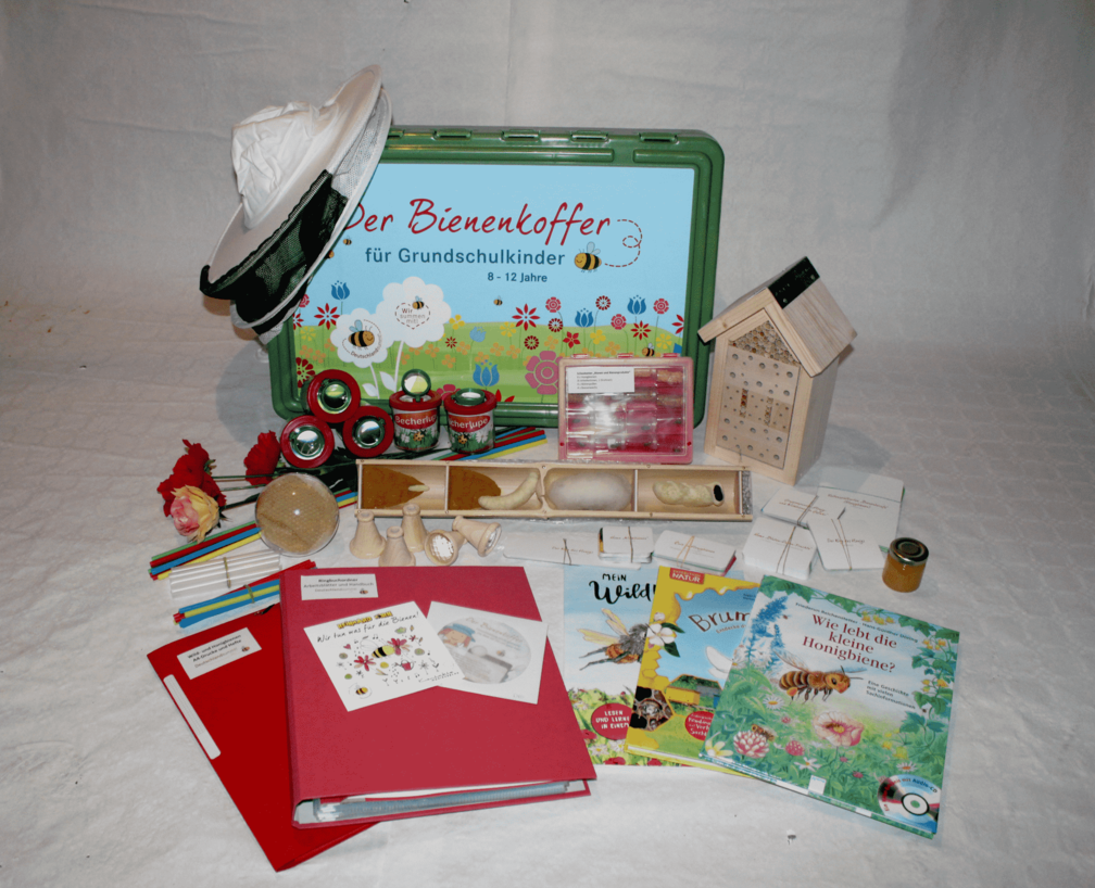 Bienenkoffer mit Teilen des Inhaltes davor